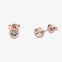 Ted Baker Sinaa Rose Gold Tone Mini Crystal Stud Earrings TBJ3124-24-02