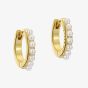 Ted Baker Persia Gold Tone Pearl Huggie Hoop Earrings TBJ3983-02-28