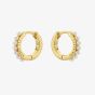 Ted Baker Persia Gold Tone Pearl Huggie Hoop Earrings TBJ3983-02-28