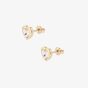 Ted Baker Han Gold Tone Crystal Heart Stud Earrings TBJ1654-02-02