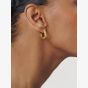 Ted Baker MELANIE Gold Tone Plated Twist Hoops Earrings TBJ4186-02-03