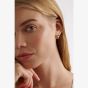 Ted Baker ROLO Gold Tone Plated Black Enamel Roll Huggie Hoop Earrings TBJ4162-02-05