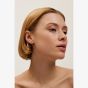 Ted Baker CRISETE Silver Tone Plated Logo Huggie Hoop Earrings TBJ3745-01-03