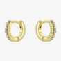 Ted Baker HETTIE Gold Tone Plated Crystal Huggie Hoop Earrings TBJ4161-02-02