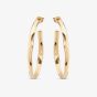 UNOde50 Ohmmm.. Gold Plated Oval Hoop Earrings PEN0419ORO0000U