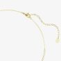 Swarovski Mesmera 18ct Yellow Gold Mixed Cut V Necklace 5747931