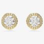 Swarovski Una Gold Tone Plated Halo Stud Earrings 5686637
