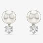 Swarovski Matrix Rhodium Plated Crystal Pearl Stud Earrings 5694225