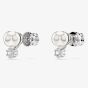 Swarovski Matrix Rhodium Plated Crystal Pearl Stud Earrings 5694225