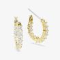 Swarovski Matrix Vittore Gold Tone Plated White Zirconia Hoop Earrings 5733398