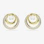 Swarovski Hyperbola Gold Tone Plated Crystal Stud Earrings 5740407