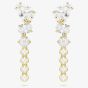 Swarovski Mesmera 18ct Yellow Gold Plated Drop Earrings 5747936
