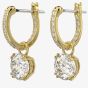 Swarovski Ladies Constella Gold Plated Hoop Dropper Earrings 5638802
