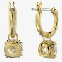 Swarovski Ladies Constella Gold Plated Hoop Dropper Earrings 5638802