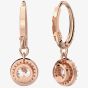 Swarovski Ladies Constella Rose Gold-Plated Dropper Hoop Earrings 5638769
