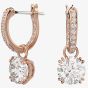 Swarovski Ladies Constella Rose Gold-Plated Hoop Dropper Earrings 5639975