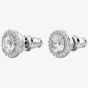 Swarovski Constella Silver Halo Stud Earrings 5636269