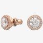 Swarovski Constella Rose Gold-Plated Halo Stud Earrings 5636275
