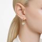 Swarovski Dextera White Round Cut Gold Plated Earrings 5666023