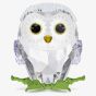 Swarovski Idyllia Crystal Baby Owl Figurine 5684483