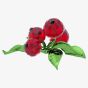 Swarovski Idyllia Red Berries Figurine 5701281