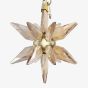 Swarovski Annual Edition 2025 Festive 3D Champagne Star Ornament 5701505