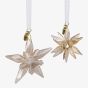 Swarovski Annual Edition Festive 3D Ornament Set 2025 5701824