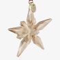 Swarovski Annual Edition Festive Champagne Star 2025 Ornament 5701826