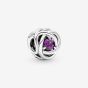 PANDORA Silver February Birthstone Eternity Circle Charm 790065C02