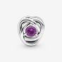 PANDORA Silver February Birthstone Eternity Circle Charm 790065C02