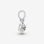 PANDORA Silver Glow In The Dark Firefly Charm 799352C01