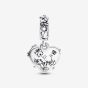PANDORA Disney Winnie The Pooh And Piglet Charm 792214C01