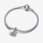 PANDORA Disney Winnie The Pooh And Piglet Charm 792214C01