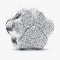 PANDORA Sterling Silver Textured Paw Print Charm 794043C00