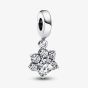 PANDORA Sterling Silver Cubic Zirconia Sparkling Pet Paw Print Dangle Charm 792247C01