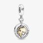 PANDORA Two Tone You Are My World Charm 799303C01