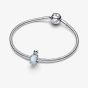 PANDORA Sterling Silver Seal Charm 794146C01