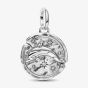 PANDORA Sterling Silver Dolphin Medallion Charm 794807C01