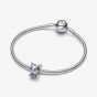 PANDORA Disney Moana Pua the Pig Charm 793843C01