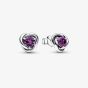 PANDORA February Birthstone Eternity Circle Stud Earrings 292334C02