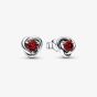 PANDORA January Birthstone Eternity Circle Stud Earrings 292334C06
