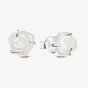 PANDORA White Rose In Bloom Stud Earrings 293209C01