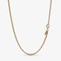PANDORA 14ct Gold Plated Rolo Chain 369260C00-60