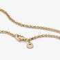 PANDORA 14ct Gold Plated Rolo Chain 369260C00-60
