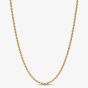 PANDORA 14ct Gold-Plated Rope Chain 364687C00-70