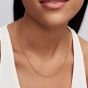 PANDORA 14ct Gold-Plated Rope Chain 364687C00-70