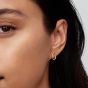 PANDORA 14ct Gold Plated Organically Shaped Stone-Set Oval Stud Earrings 264659C01