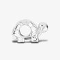 Rosa Lea Tortoise Charm AM-2THB016304