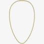 BOSS Mens Gold-Tone 24 Inch Curb Chain Necklace 1580173