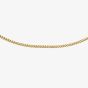 9ct Yellow Gold Diamond-Cut Curb Chain 1.13.0022